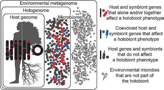 metagenoma