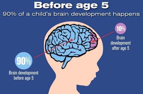 brain development