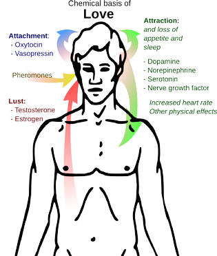 neurotransmitters