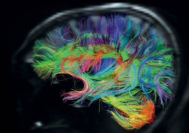 Dalla concezione meccanistica alla concezione organicostica