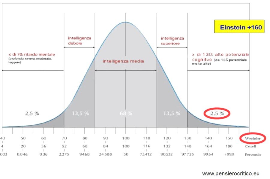 IQ