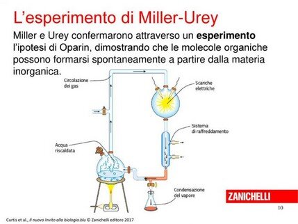 Origine della vita