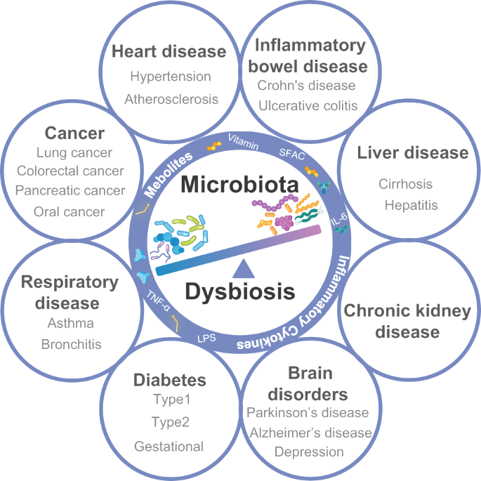 microbiota effetti
