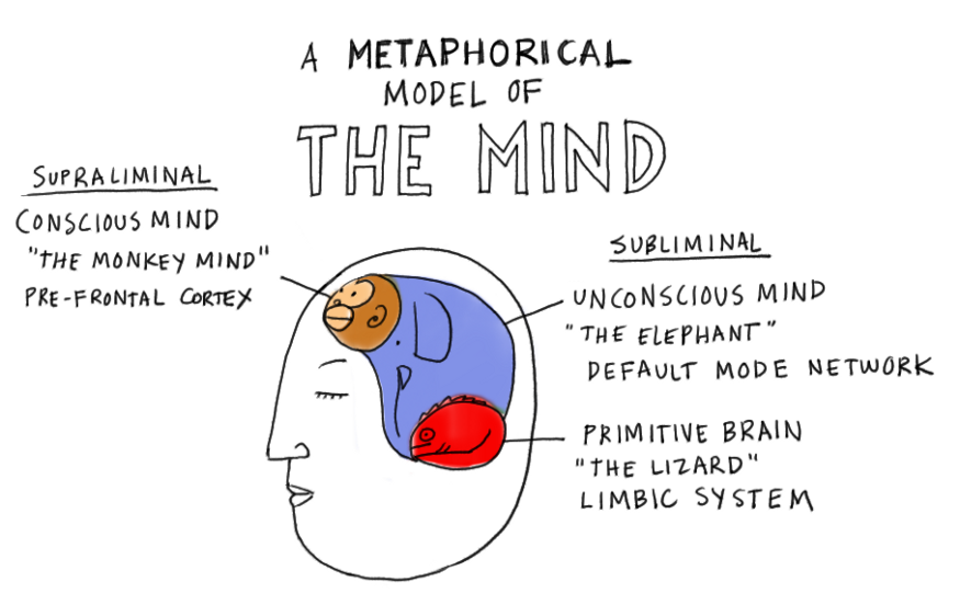 model of mind