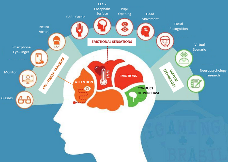 brain