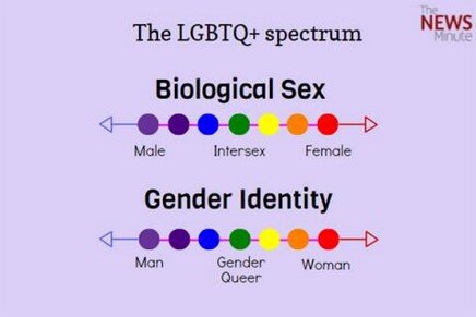 gender identity