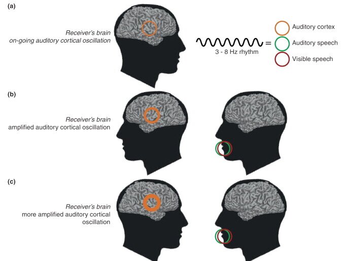 neural coupling