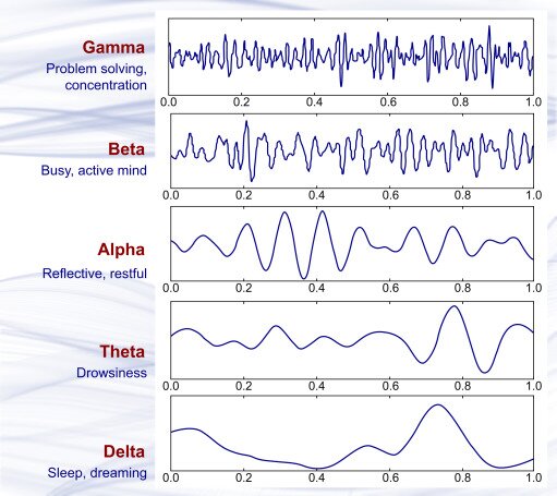 brain activity