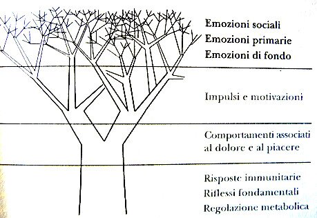 Antonio damasio