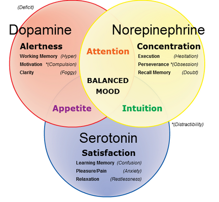 neurotrasmettitori