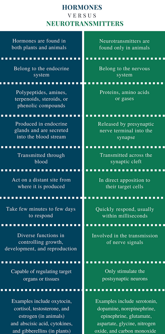 neurotransmitters