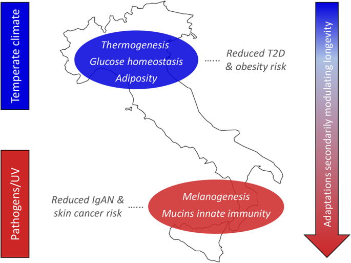 DNA Italia