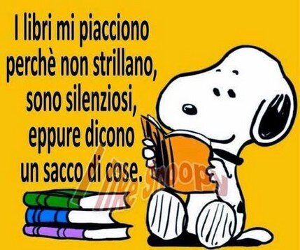 cooperazione interpretativa