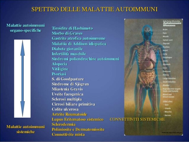 sistema immunitario