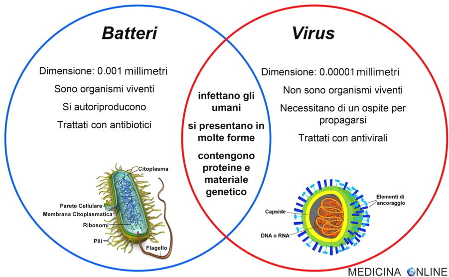 immunoterapia