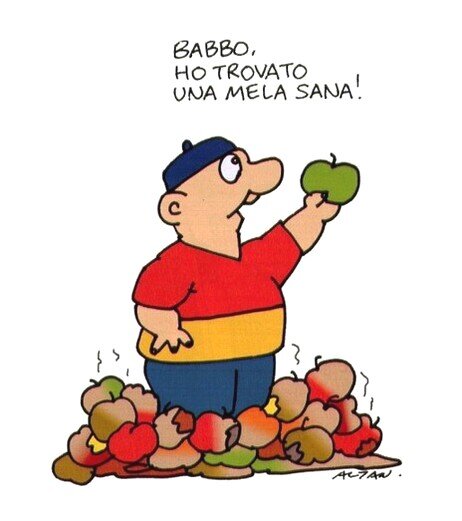 OGM