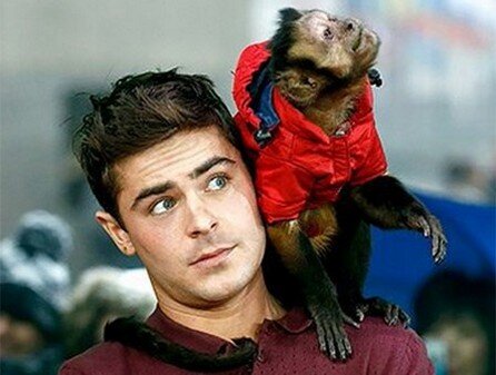 Monkie on the shoulder