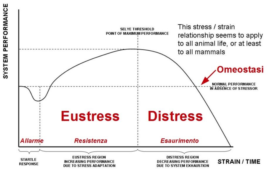 Eustress - Distress