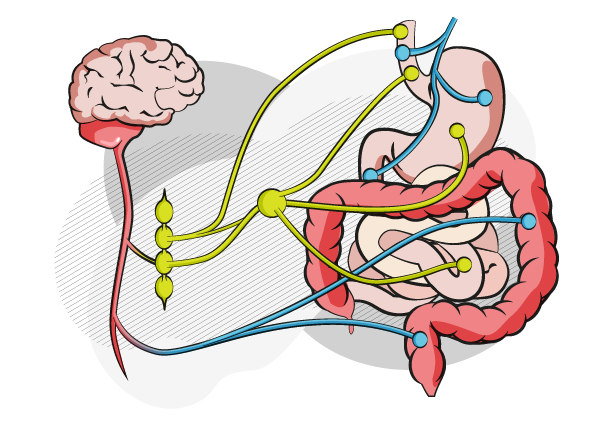 microbiota