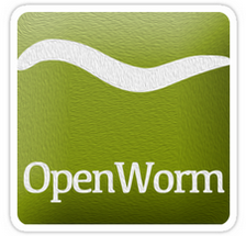 Worm